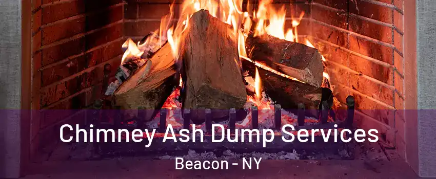  Chimney Ash Dump Services Beacon - NY
