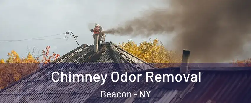  Chimney Odor Removal Beacon - NY