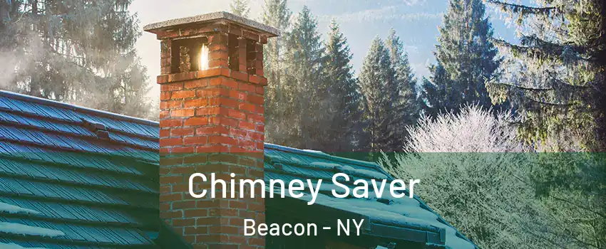  Chimney Saver Beacon - NY