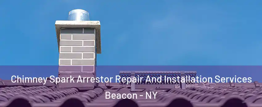  Chimney Spark Arrestor Repair And Installation Services Beacon - NY